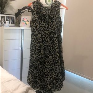 Anne Taylor loft green and beige shift dress